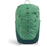 DIMMED ALGAE/HUNTER GREEN