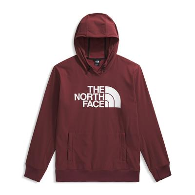 The North Face Tekno Logo Hoodie Men's
