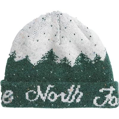 The North Face Cabin Mountainscape Beanie