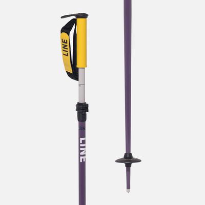 Line Paintbrush Adjustable Ski Poles