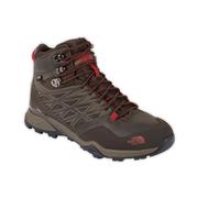 Weimaraner Brown/Rosewood Red