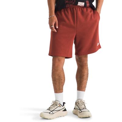The North Face Evolution Simple Dome Regular Shorts Men's
