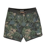 TROPICAL DIMENSION/ANTIQUE BLACK