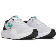 WHITE/BLACK/GREEN MODE