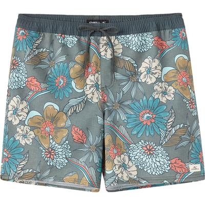 Oneill Hermosa Elastic Waist Lined 17-Inch Swim Trunk Men's