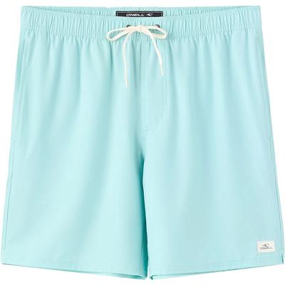 Oneill Lennox Hermosa Solid Volley 17-Inch Swim Trunk Men's
