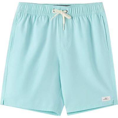 Oneill Lennox Hermosa Solid Volley 16-Inch Trunk Men's