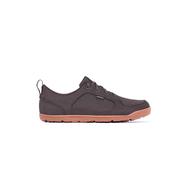 HELLBENDER BROWN