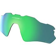 PRIZM JADE POLARIZED