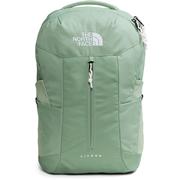 SLATE MOSS/TNF WHITE