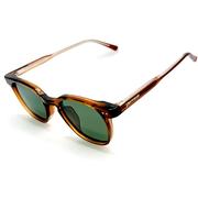 SHINY BROWN/G15 POLARIZED