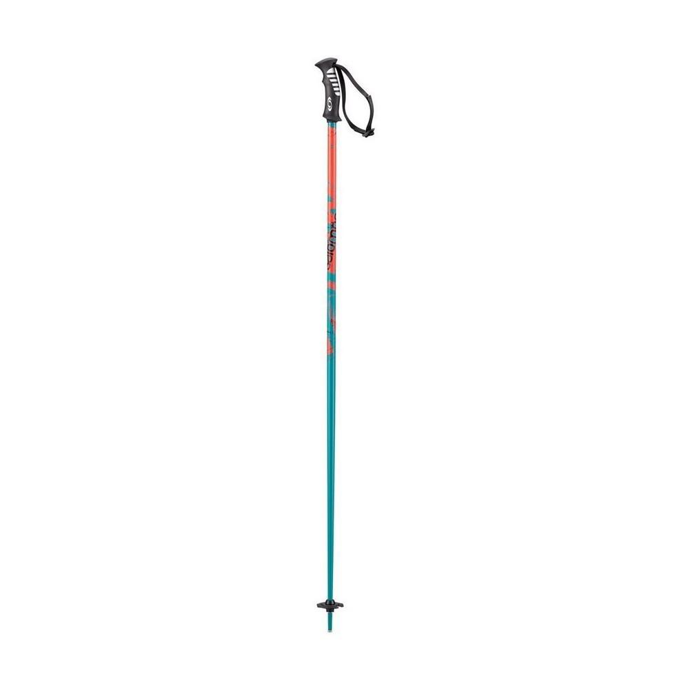 Salomon Arctic Ski Poles