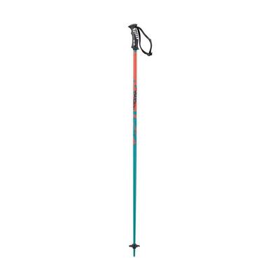 Salomon Arctic Ski Poles