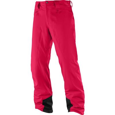 Salomon Icemania Pant Men's