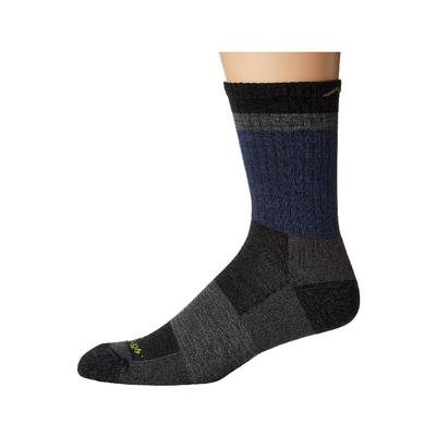 Darn Tough Vermont Heady Stripe Micro Crew Lightweight Cushion Socks Men's