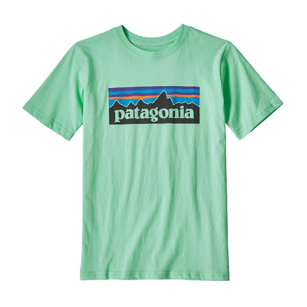 patagonia t shirt xl
