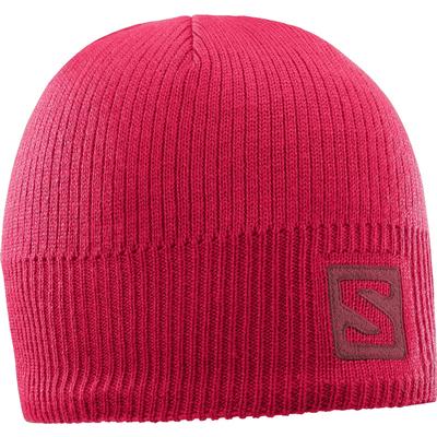 Salomon Logo Beanie