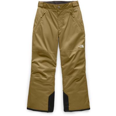 The North Face Freedom Insulated Snow Pants Boys'