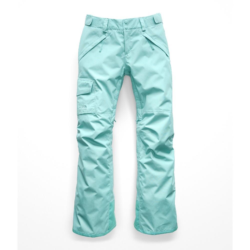the north face women's freedom insulated pant