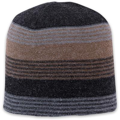 Pistil Chase Beanie Men's