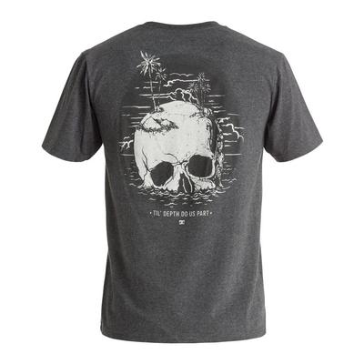 DC Skisland Short Sleeve Tee Men's