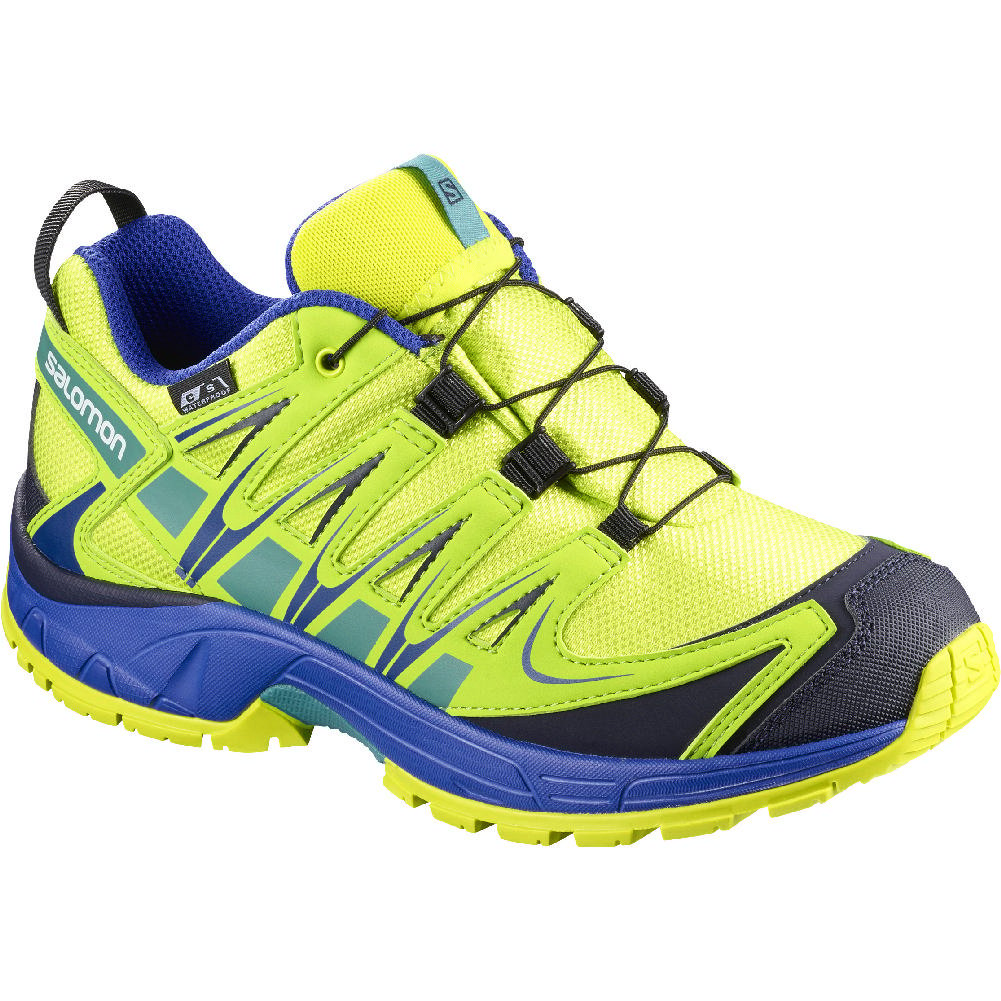 salomon trail pro