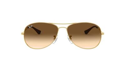 Ray Ban Cockpit Sunglasses