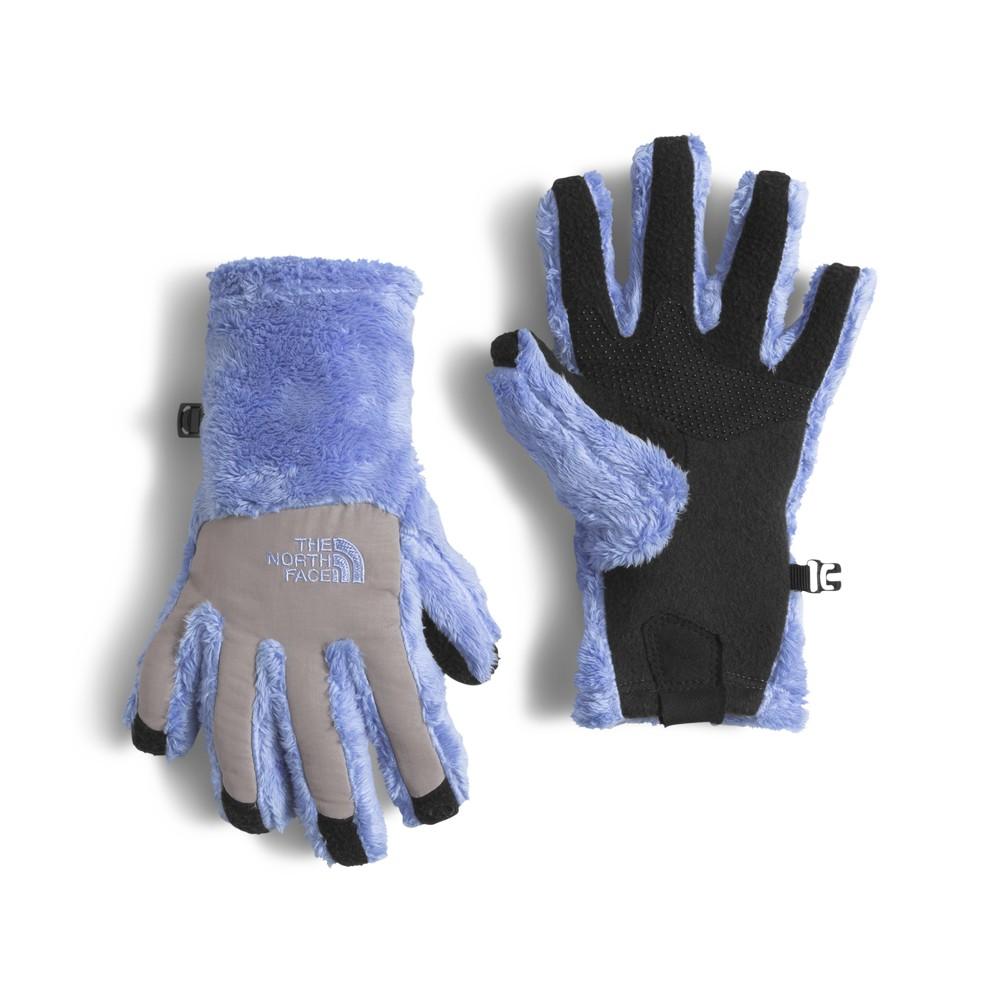 north face denali thermal etip gloves