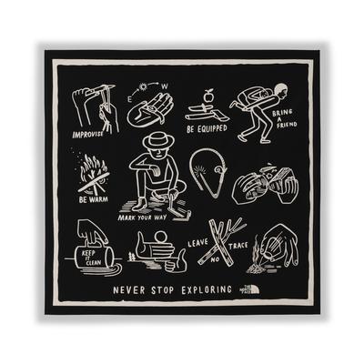 The North Face Bo Banna Bandana