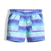 Provence Blue Ombre Stripe Hike Print