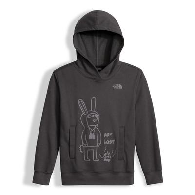 The North Face Logo Pullover Hoodie Boys'