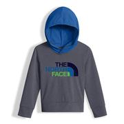 TNF MEDIUM GREY HEATHER