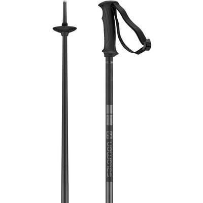 Salomon Arctic Ski Poles