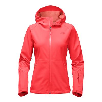 The North Face Apex Flex GTX Jacket Women's