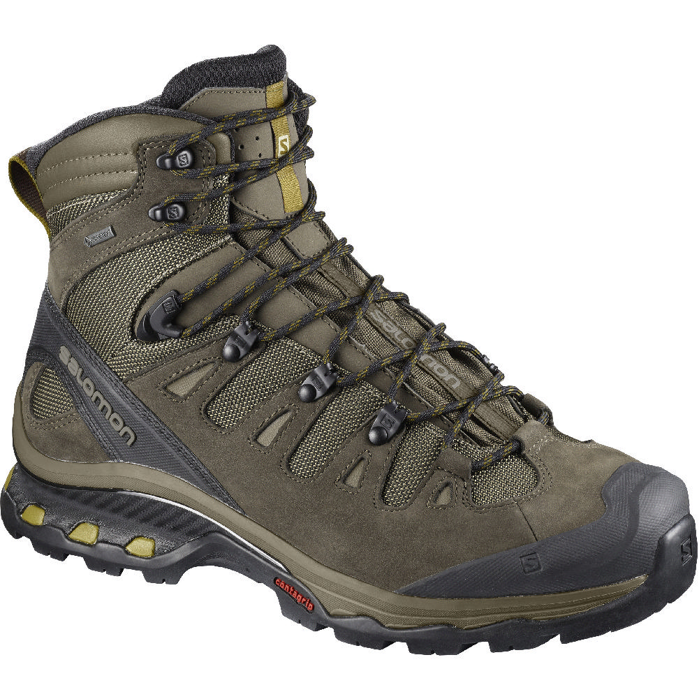 Salomon Quest 4d 3 Gtx Hiking Boots Men's