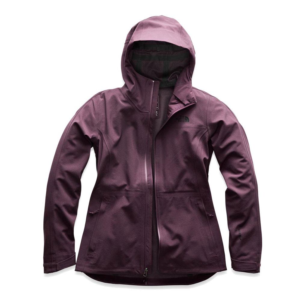 north face apex flex gtx jacket women's