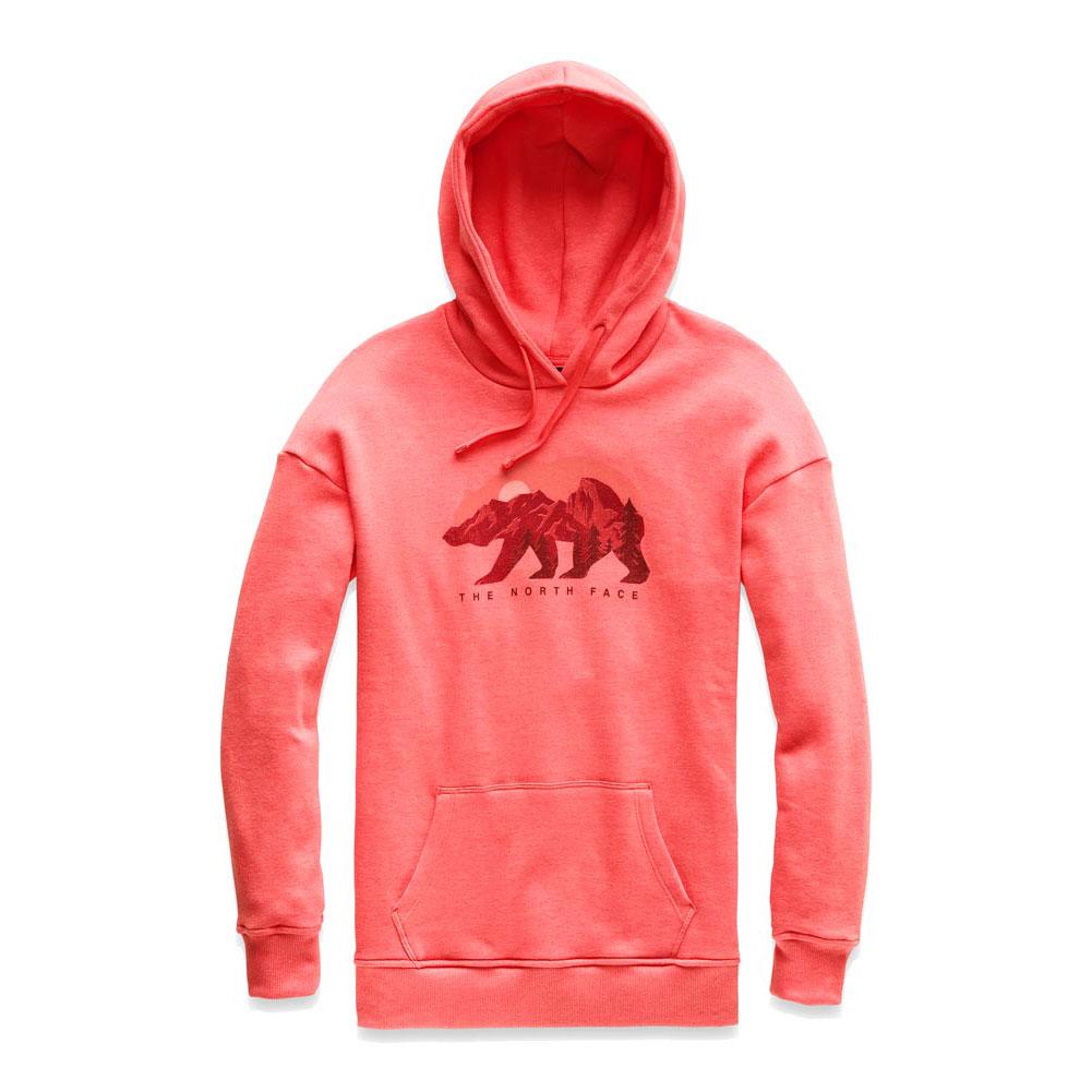 north face bearscape hoodie womens