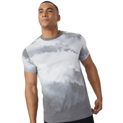 Tentree Foggy Mountains Tee Men's