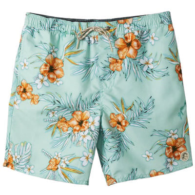 O'Neill Seabreeze Volley Shorts Men's