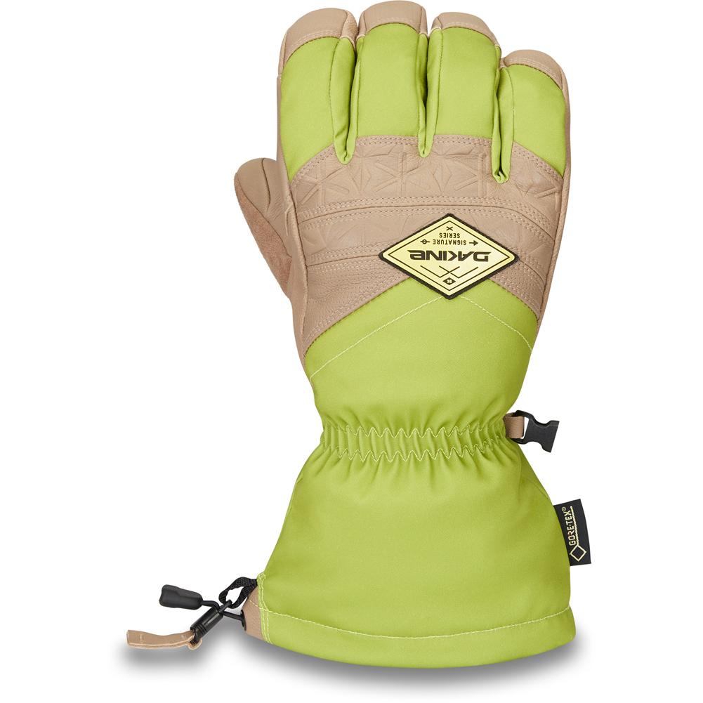 Schelden Slink Afscheid Dakine Team Excursion Gore-Tex Gloves Men's