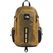 CEDAR/GOLDEN TAN/HONEYED SAND