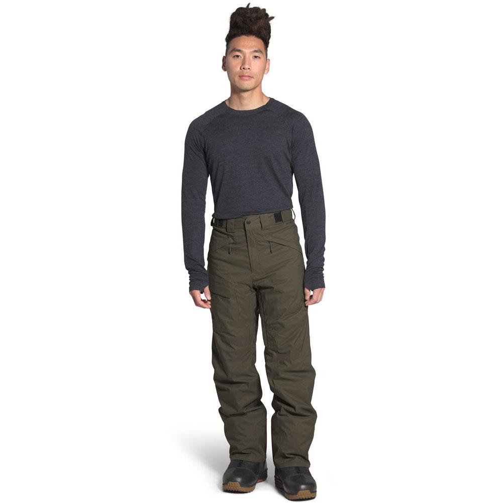 Assassin isolation garlic the north face mens freedom snow pants