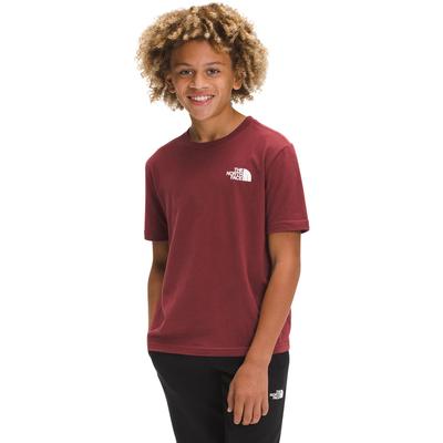 The North Face Graphic Short Sleeve Tee Boys'