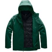 NIGHT GREEN/TNF BLACK