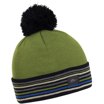 Turtle Fur On The Level Beanie Boys'