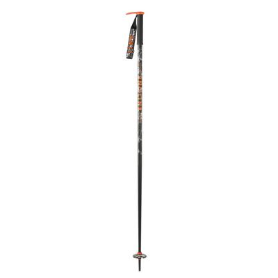 Line Wallischtick Ski Poles