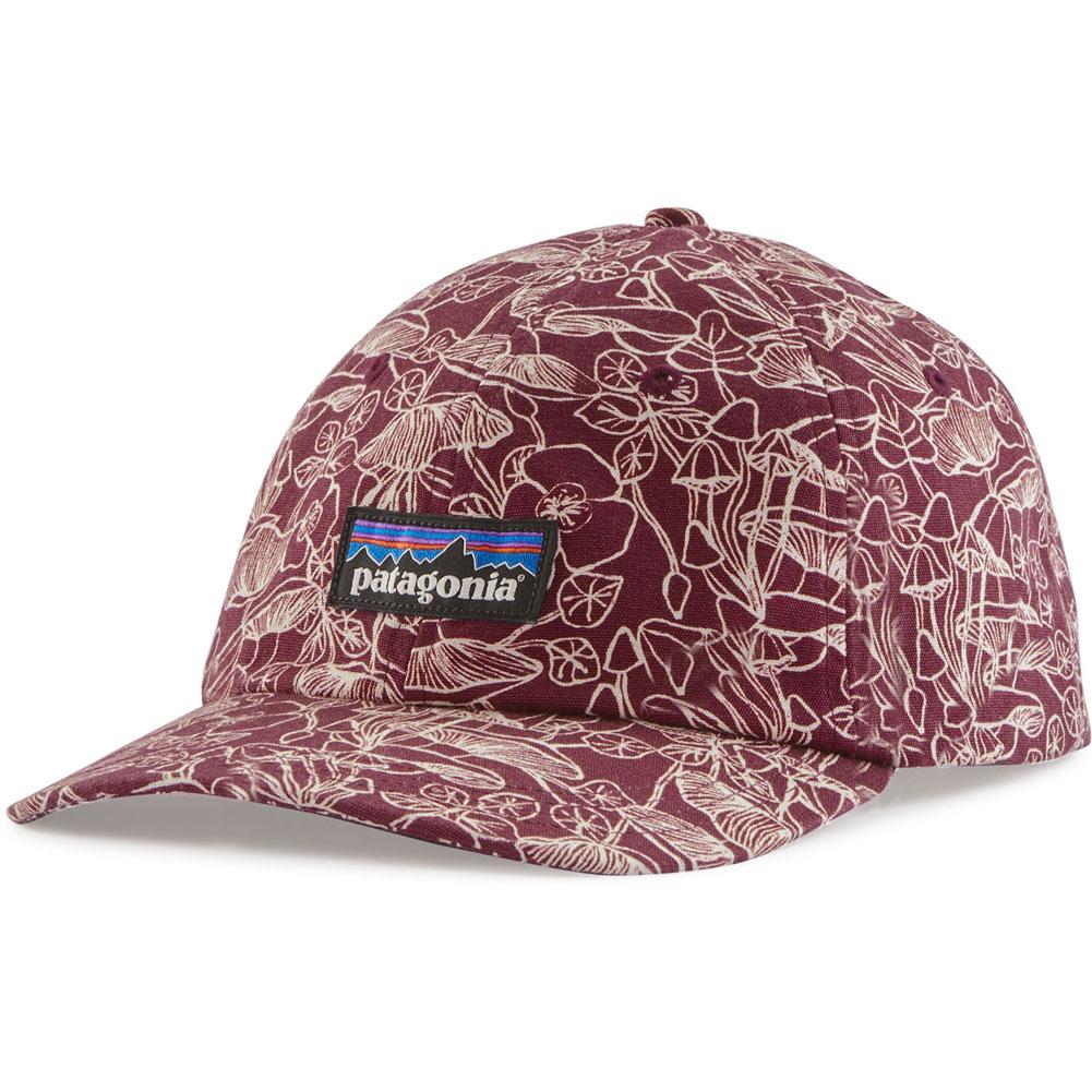Patagonia P- 6 Label Trad Cap