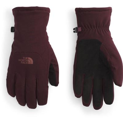 The North Face Shelbe Raschel Etip Gloves Women's