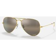 LEGEND GOLD/CLEAR GRADIENT DARK BROWN POLARIZED