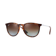 TORTOISE\GUNMETAL/POLARIZED BROWN GRADIENT